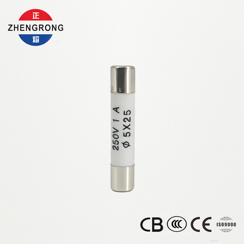 Висококачествени предпазители 5x25mm R055 1A за купувачи на едро